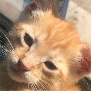 Meet your Posher, Jose